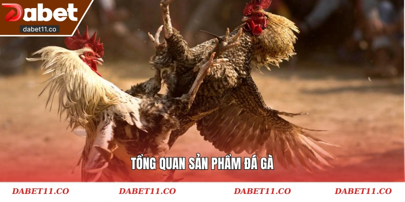 Tổng quan sản phẩm đá gà